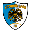 Stemma Erzurumspor FK
